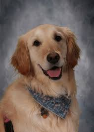 Level.. easy? 🤭😂