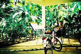 The man made tropical botanical garden of taman botani was established in putrajaya of which the landscape of the city was to be designed as the city in the garden. Taman Botani Putrajaya Malaysia Lomography