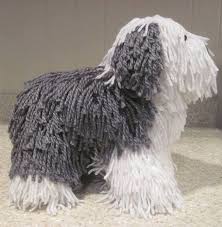 Crocheted Old English Sheepdog Pdf Pattern Digital Download Kopek Amigurumi Amigurumi Oyuncak Bebek