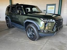 Image result for Nori Green 2025 LZ