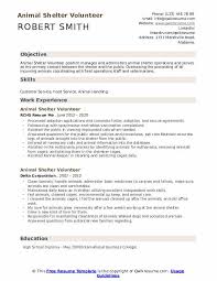 For this particular article, i'll be focusing on rescuing shelter animals. Animal Shelter Volunteer Resume Samples Qwikresume