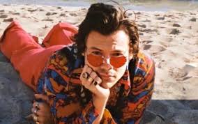 She also writes drama for bbc radio 4. Harry Styles Love Interest In My Policeman Film Has Been Announced