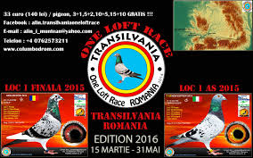 Convert 1 euro to romanian leu. Transilvania One Loft Race Home Facebook