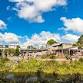 Matakana Village & Farmers Market event image