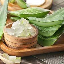 Is aloe vera good for skin? How To Use Aloe Vera For A Glowing Face And Clear Skin Kama Ayurveda
