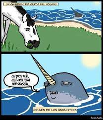 Claro Que Existieron Los Unicornios Y Asi Nacio El Primero Memes Divertidos Meme Gracioso Meme Divertido