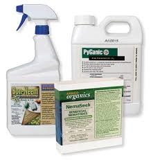 Simply spray plants at the first sign of insect activity and reapply weekly or biweekly, as needed, to plants indoors, outdoors and in. Arbico Organics Managing The Japanese Beetle A Short Course For The Homeowner