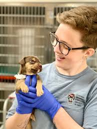 Faces of #NCStateVetMed: Ellie. We'd like to introduce you to some of the  amazing people who keep the NC State College of Veterinary Medicine &  Veterinary Hospital running! Meet Ellie Seymour -