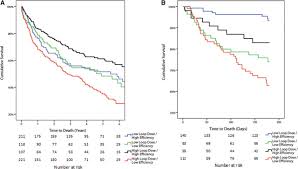 loop diuretic efficiency circulation heart failure