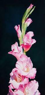 39 Art Wallpapers For Free Wallpapers Com Floral Watercolor Flower Painting Art
