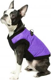 Gooby Fashion Quilted Bomber Dog Vest With Stretchable Chest Violet X Large