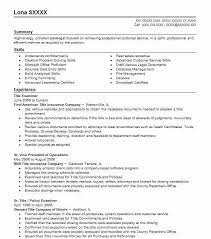 Title Examiner Resume Example Examiner Resumes Livecareer