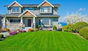 The connected metric is a citywide average based on fcc data showing the density of broadband. Janine Mcgowan Real Estate Agent Collado Real Estate Linkedin