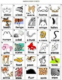 Miriam Mastrogiovanni Adli Kullanicinin English Idioms Grammar Vocabulary Panosundaki Pin Egitim Okul Ingilizce