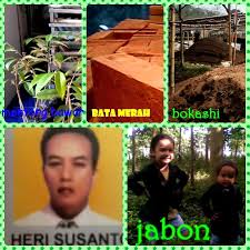Tersedia produk aman dan mudah di bandung, jaminan uang kembali 100% di bukalapak. Jual Bibit Tanaman Bandung Beranda Facebook