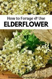 They are full of antioxidants and patients that had three or more symptoms of flu started taking elder flower extract. What Is Elderflower Elderflower Benefits Recipes