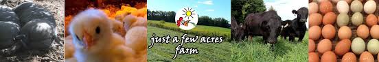 Maybe you would like to learn more about one of these? Just A Few Acres Farm Youtube Channel Analytics And Report Powered By Noxinfluencer Mobile