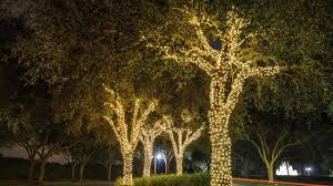 Our decorative string lights are bright but not intense, emitting a beautiful, warm white light. Outdoor Tree Lights Solar You Ll Love In 2021 Visualhunt