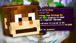 Bat pet hypixel skyblock wiki fandom. The New Op Monkey Pet Hypixel Skyblock Youtube