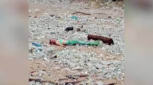 Mermaids have appeared in polynesian, celtic, middle eastern, and japanese mythology for centuries, and have swum griffin's dried specimen appeared to have the tail of a fish and the shriveled head and torso of a monkey—which, it turns out, was exactly what it was. Mermaid Lounges In Trash On Bali S Beach