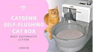 Cat genie litter box 2019! Catgenie Self Flushing Cat Box Self Washing Auto Cleaning Litter Box