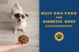 Your veterinarian will recommend the best type of diet for your diabetic dog. Best Dog Food For Diabetic Dogs In 2021 Reviews Buyer Guide
