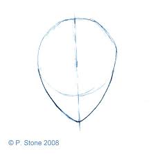 Draw A Manga Face With These Easy Steps 800 x 800 jpeg 53 кб. draw a manga face with these easy steps