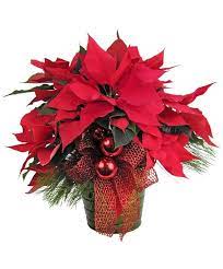 Zeidlers Flowers Evansville In Florist Flowers Flower Shop Christmas Floral Designs Christmas Flowers Christmas Floral Arrangements