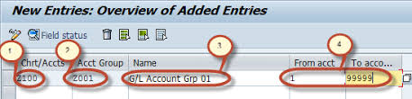 How To Create Chart Of Accounts In Sap