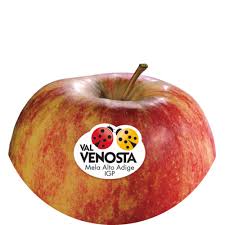 Jonagold apples have an under blush which varies in color from greenish yellow to rosy orange depending on the strain and the temperature the apples are grown in. Jonagold Mela Val Venosta