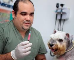 No hay eventos favoritos ni límites para