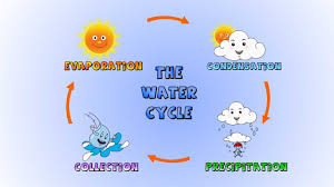The Water Cycle How Rain Is Formed Lesson For Kids
