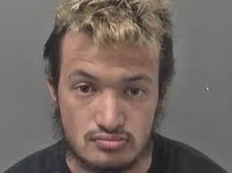 The 20 criminals locked up in Hull in October