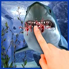 Sharks featured include whale shark, tiger shark, mako shark, great white, blacktop shark, hammerhead, and angel shark. Touch The Shark Live Wallpaper Amazon De Apps Spiele