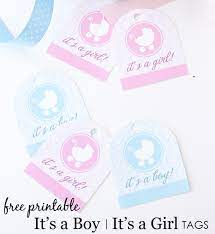 Free baby shower printable tags. It S A Boy It S A Girl Free Printable Tags Project Nursery