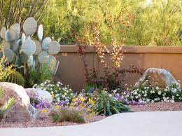 These resources were developed by the amwua conservation & efficiency advisory group, comprising representatives of amwua member. Native Plants For An Arizona Southwest Landscape Watters Garden Center