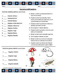 Domains And Kingdoms Domain Kingdom Microbiology