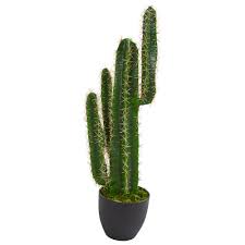 chorus nothing i can see but you when you dance, dance, dance a feeling good, good, creeping up on you so just dance, dance, dance, come on all those things i shouldn't do but you dance, dance, dance and ain't nobody leaving soon, so keep dancing i can't stop the feeling! Nearly Natural Indoor 3 Ft Cactus Artificial Plant 6328 The Home Depot