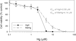 Uptake Efflux And Toxicity Of Inorganic And Methyl Mercury In The Endothelial Cells Ea Hy926 Scientific Reports