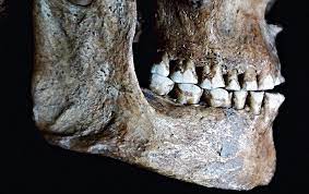 News - 1,500-Year-Old Modified Skulls Discovered in Croatia - Archaeology  Magazine
