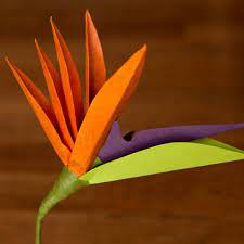 Anemone Paper Flowers Paper Flowers Paper Flowers Diy Giant Paper Flowers