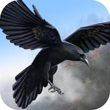 Save time, money and frustration with online marketing reports that don't get easier than this. Wild Life Flying Raven Simulator Amazon De Apps Spiele