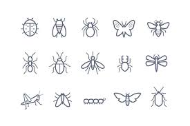 15 Insect Icons Caterpillar Tattoo Beetle Tattoo Bug Tattoo