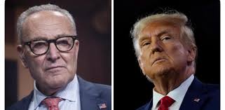 🚨 JUST IN: Leftists have now blocked MULTIPLE ambulances from entering the  ICE facility in Newark WHY AREN'T THEY BEING ARRESTED? PUT THEM IN CUFFS!  HT Nick Sortor