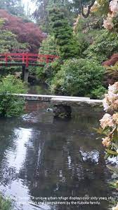 Kubota Garden Spring 2015 Dry Landscape Japanese Garden Garden Images