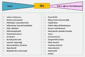irritabl barsak sendromu prof dr ahmet dobrucali