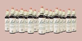 Très satisfaite les fleurs de bach m'ont. La Fleur De Bach Pour Lutter Contre Le Stress Marie Claire
