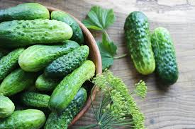 Image result for Cucumis engleri