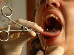 Maybe you would like to learn more about one of these? So You Want To Be A Body Piercer Bodyjewelry