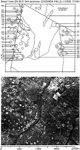 Image result for Brachystegia longifolia
